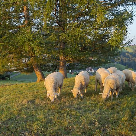 Vegan Health Hotel Sonnenberg Glutenfrei Schwellbrunn エクステリア 写真