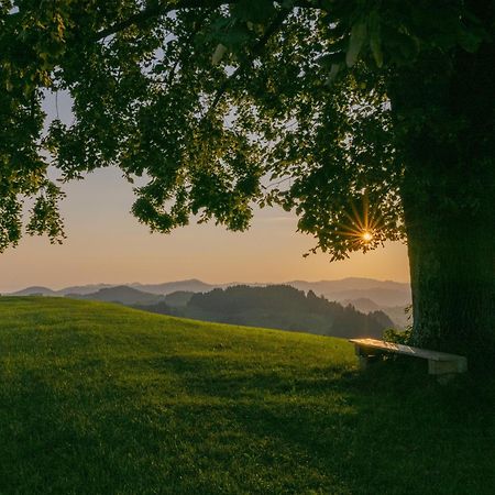 Vegan Health Hotel Sonnenberg Glutenfrei Schwellbrunn エクステリア 写真