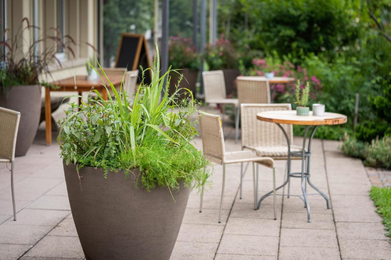 Vegan Health Hotel Sonnenberg Glutenfrei Schwellbrunn エクステリア 写真